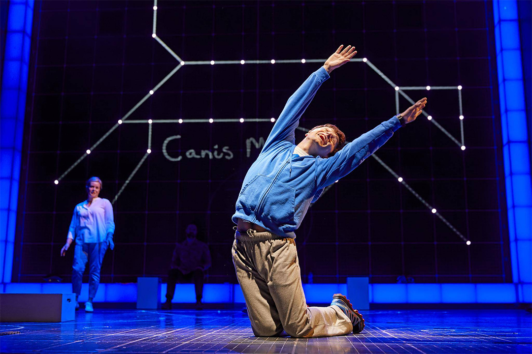 The Curious Incident of the Dog in the Night-Time