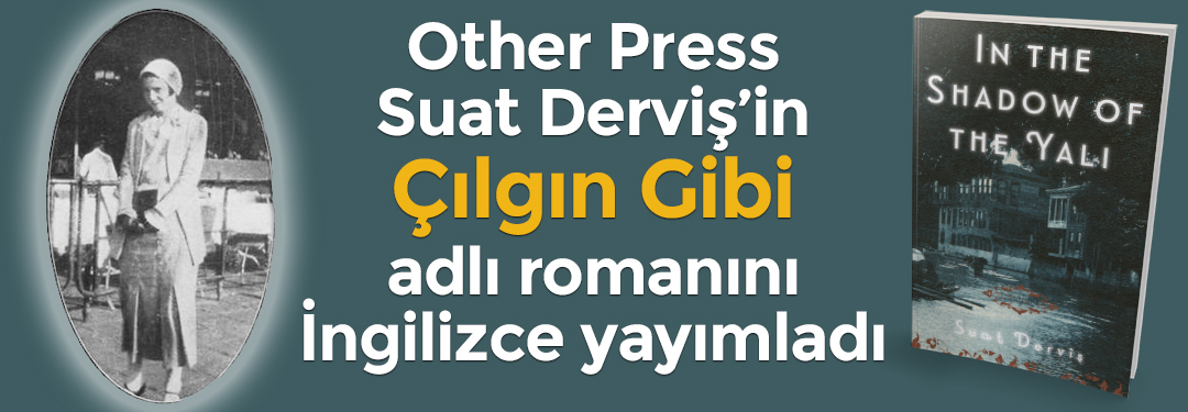 Çılgın Gibi | Other Press